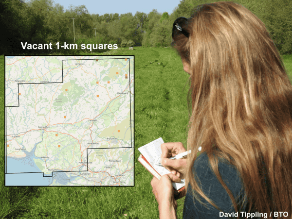 Vacant BTO BBS sites in Carmarthenshire