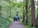 Bird Club field trip Dinefwr Park 30.4.22